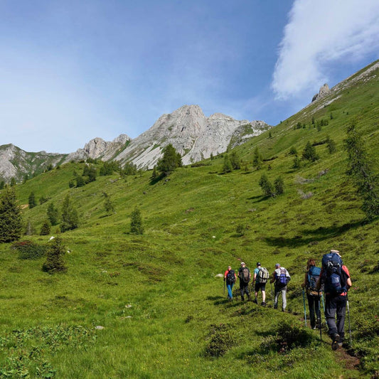 Alta Via di Forni: 4 giorni di trekking - Dolomist