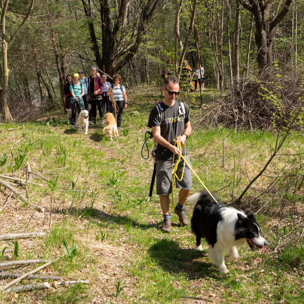 Dog Trekking alla Collina dei Delfini - Dolomist