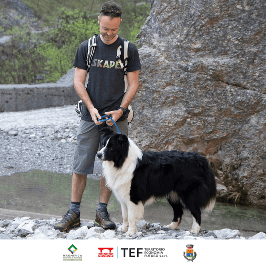 Dog Trekking alla Collina dei Delfini - Dolomist