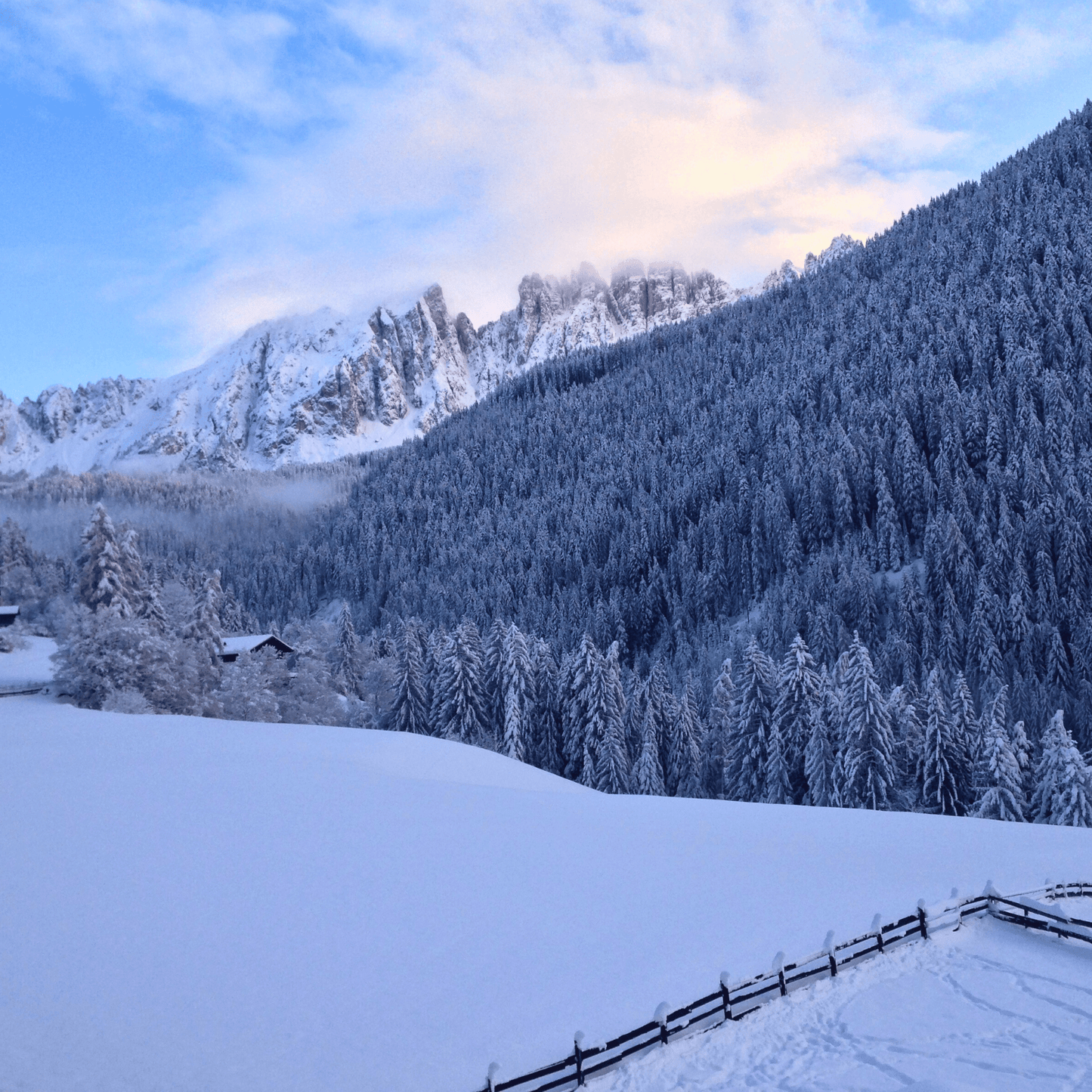 Ciaspolata sul Monte Calvo