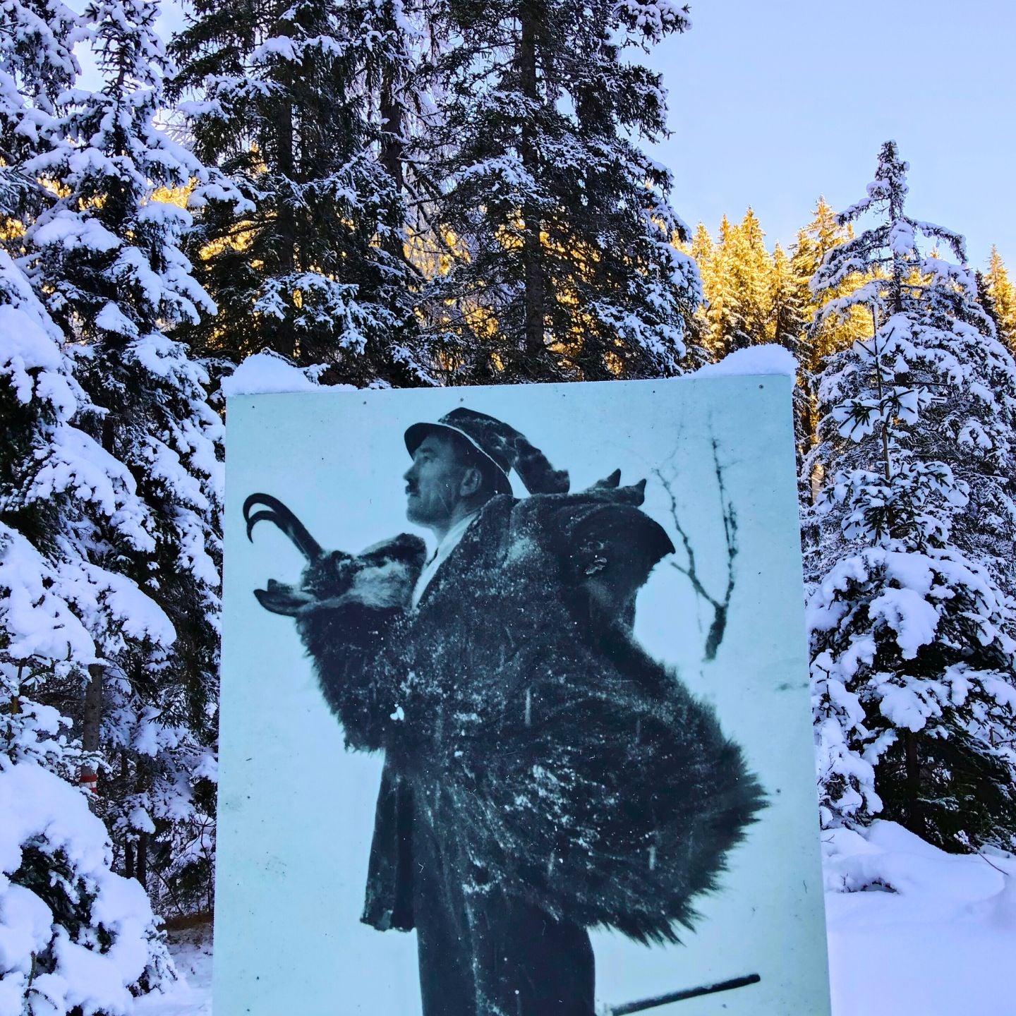 2 Tage Schneeschuhwandern in den Karnischen Alpen