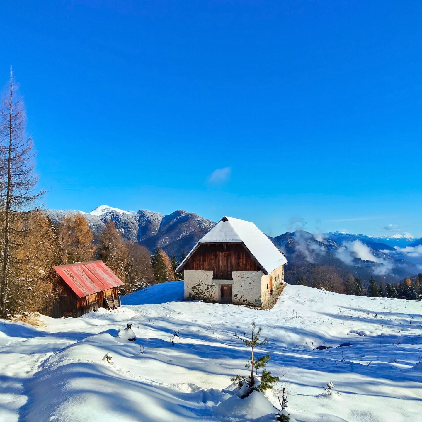 2 Tage Schneeschuhwandern in den Karnischen Alpen
