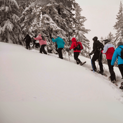 Schneeschuhwandern zu den Montasio-Hütten und magischen Wasserfällen