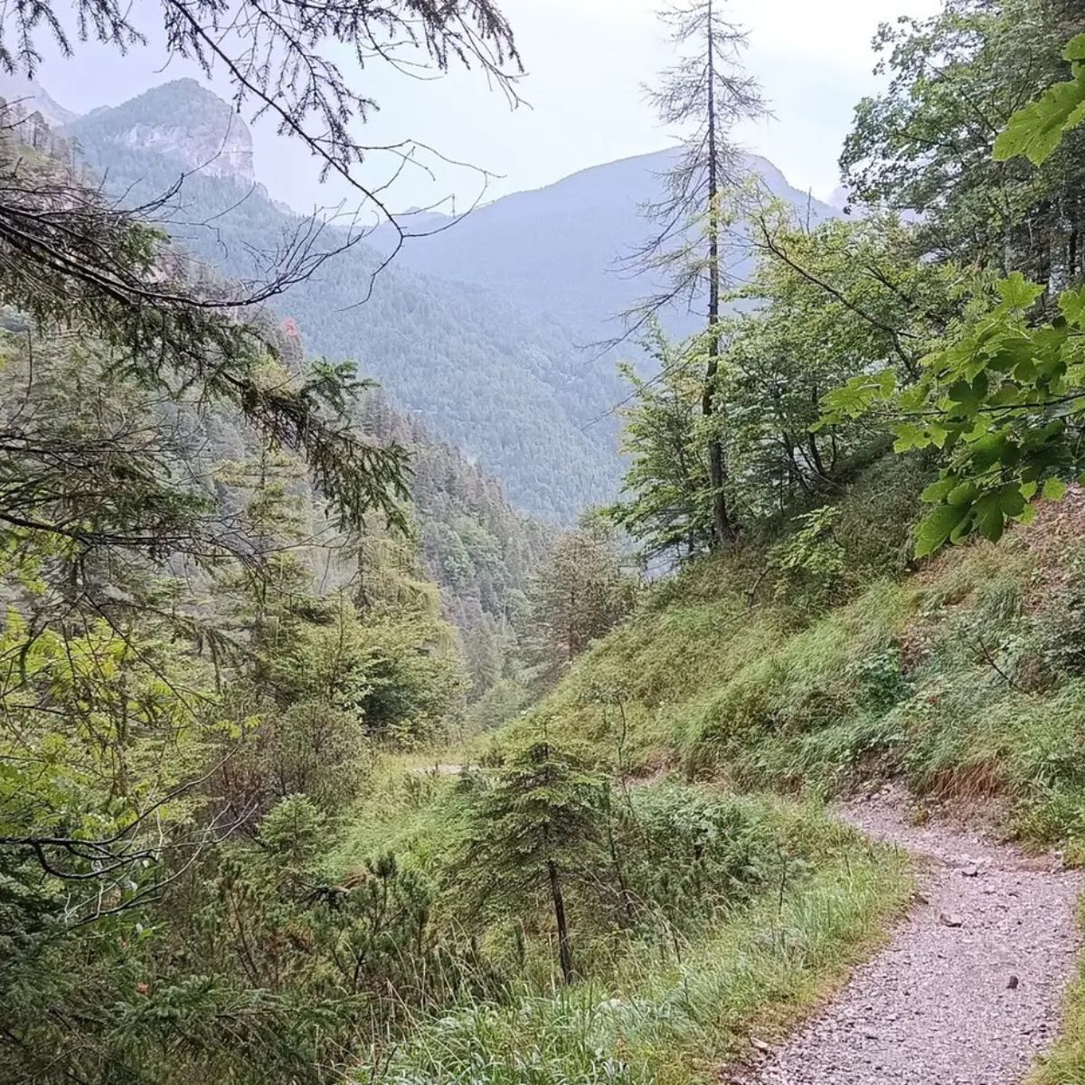 Escursione al Rifugio Giaf - Dolomist