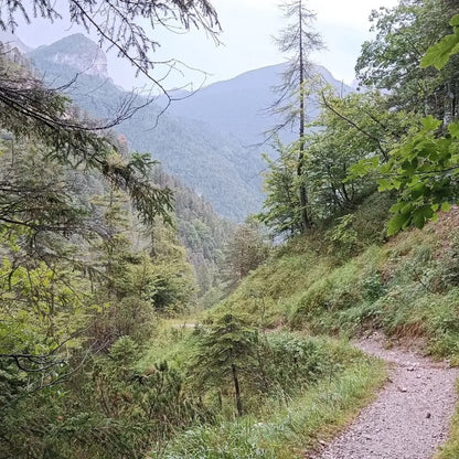 Escursione al Rifugio Giaf - Dolomist