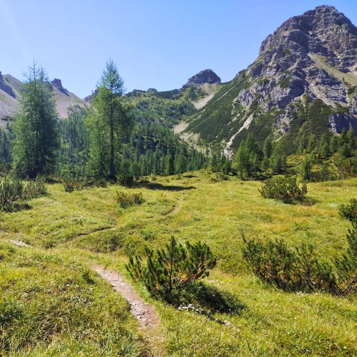 Escursione al Troi dai Sclops e Rifugio Giaf - Dolomist