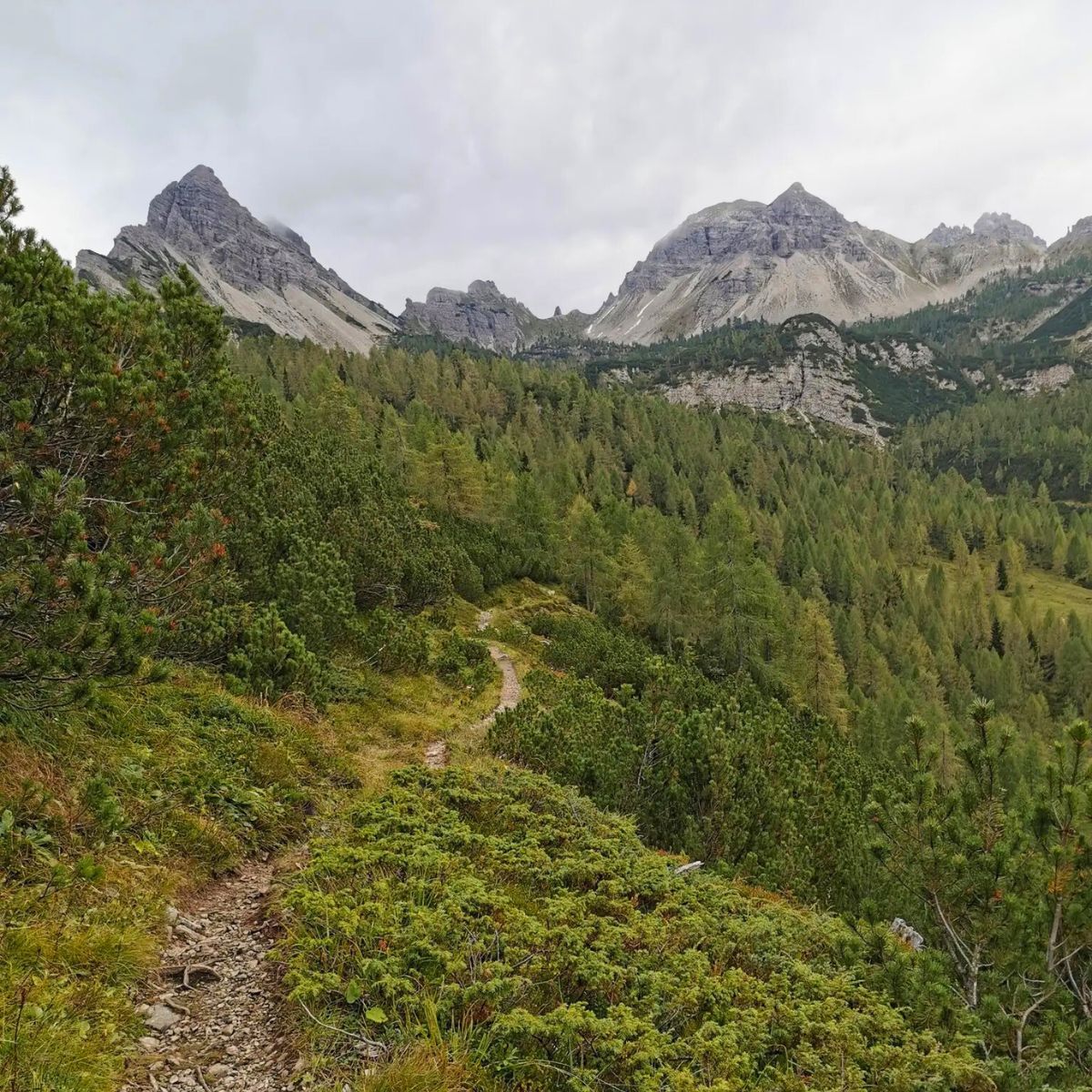 Escursione al Troi dai Sclops e Rifugio Giaf - Dolomist
