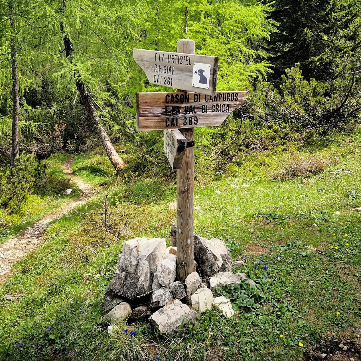 Escursione al Troi dai Sclops e Rifugio Giaf - Dolomist
