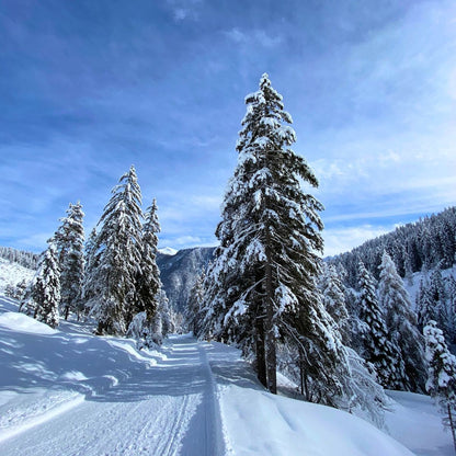 Winterausflug zur Gardeccia-Hütte