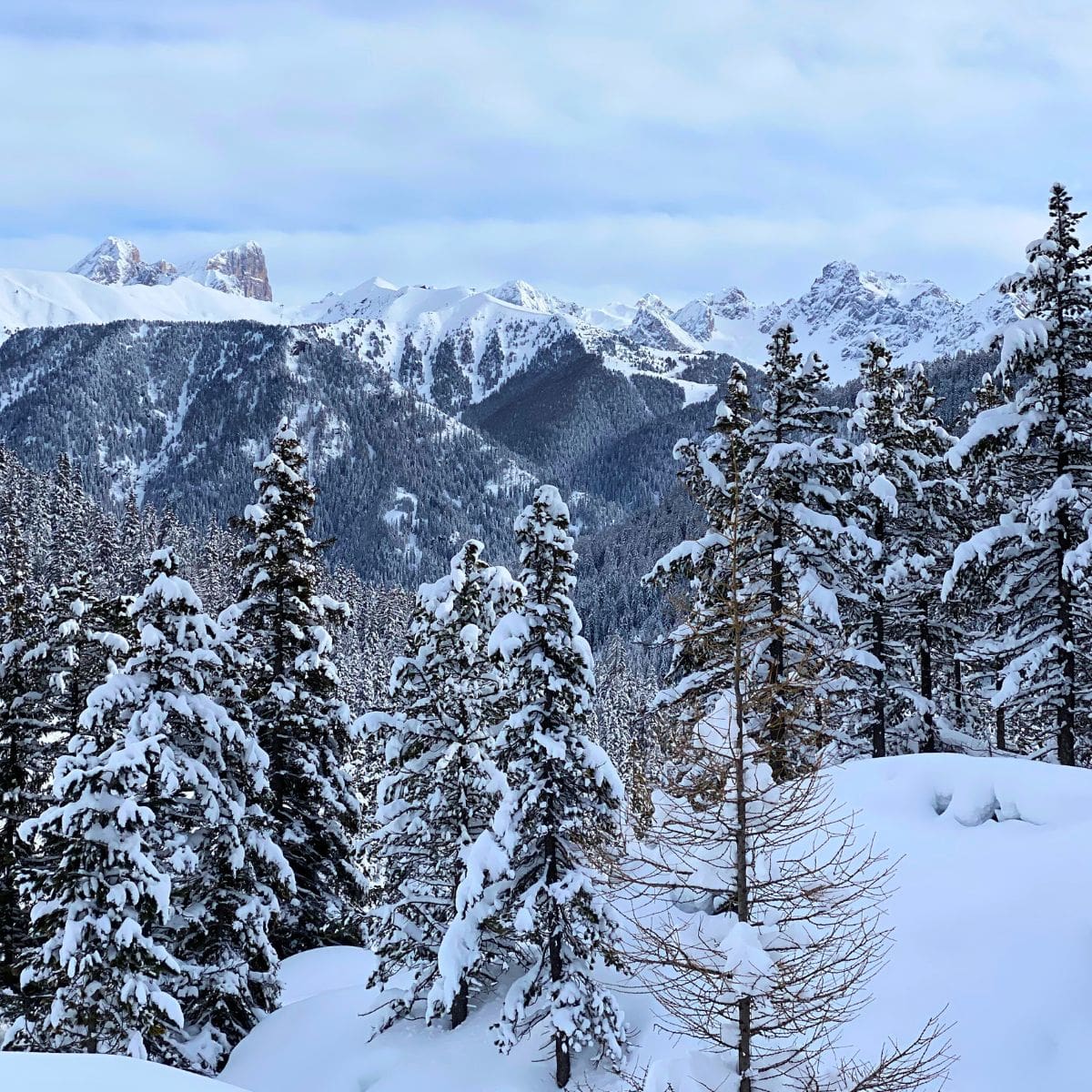 Winterausflug zur Gardeccia-Hütte