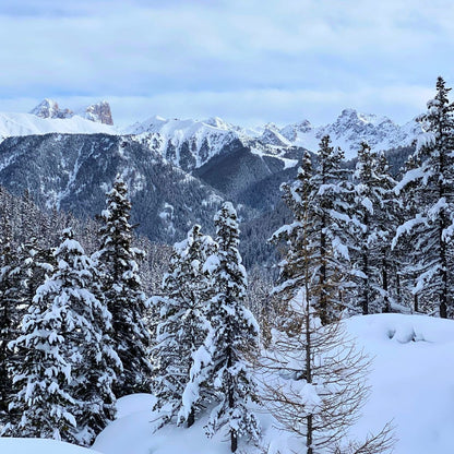 Winterausflug zur Gardeccia-Hütte