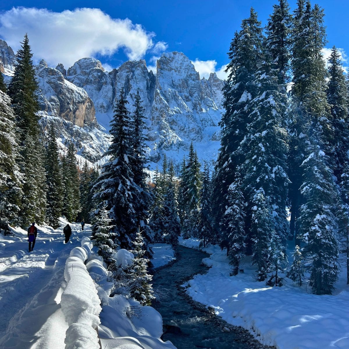 Winterwanderung im Val Venegia