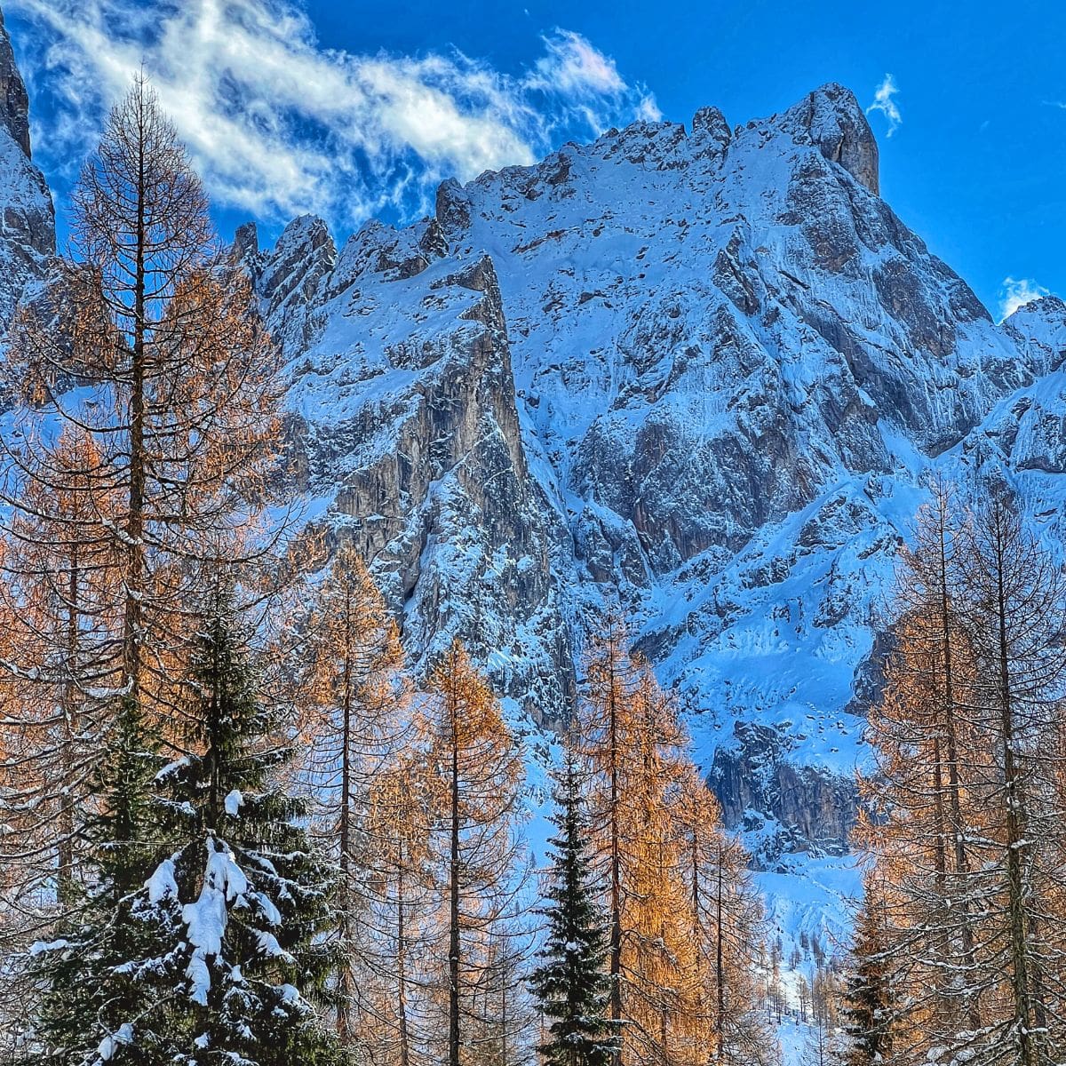 Winterwanderung im Val Venegia