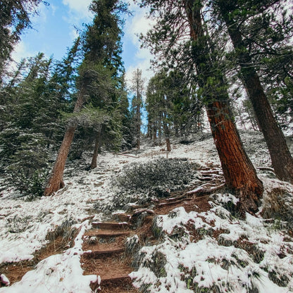 Wanderung zur Geisleralm