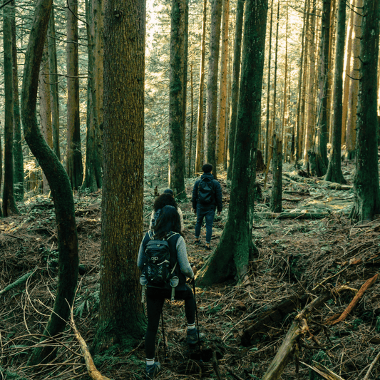 Trekking durch Natur, Ernährung und Psychologie in Malga Stramaiolo
