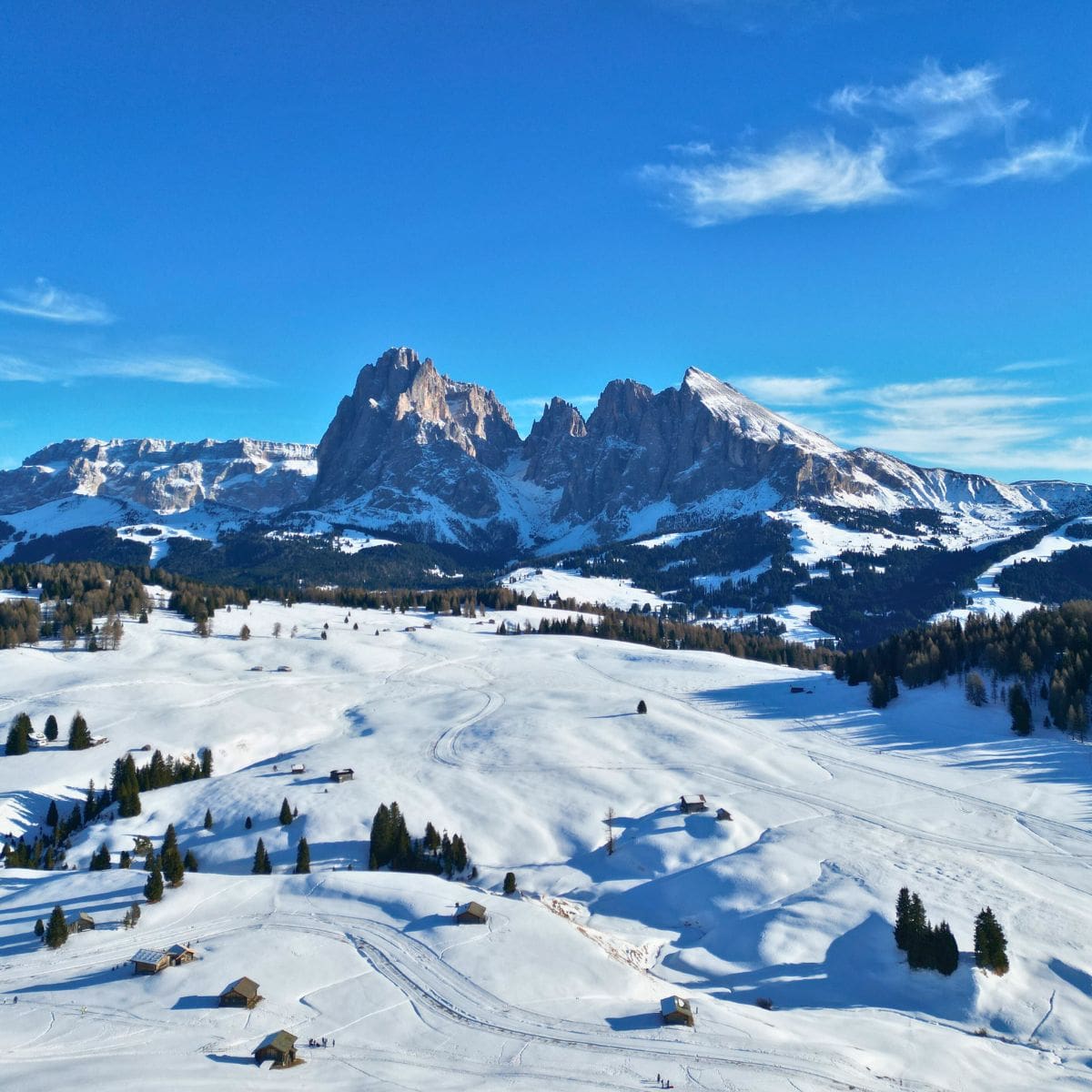Escursione a Malga Sanon in Alpe di Siusi - Dolomist