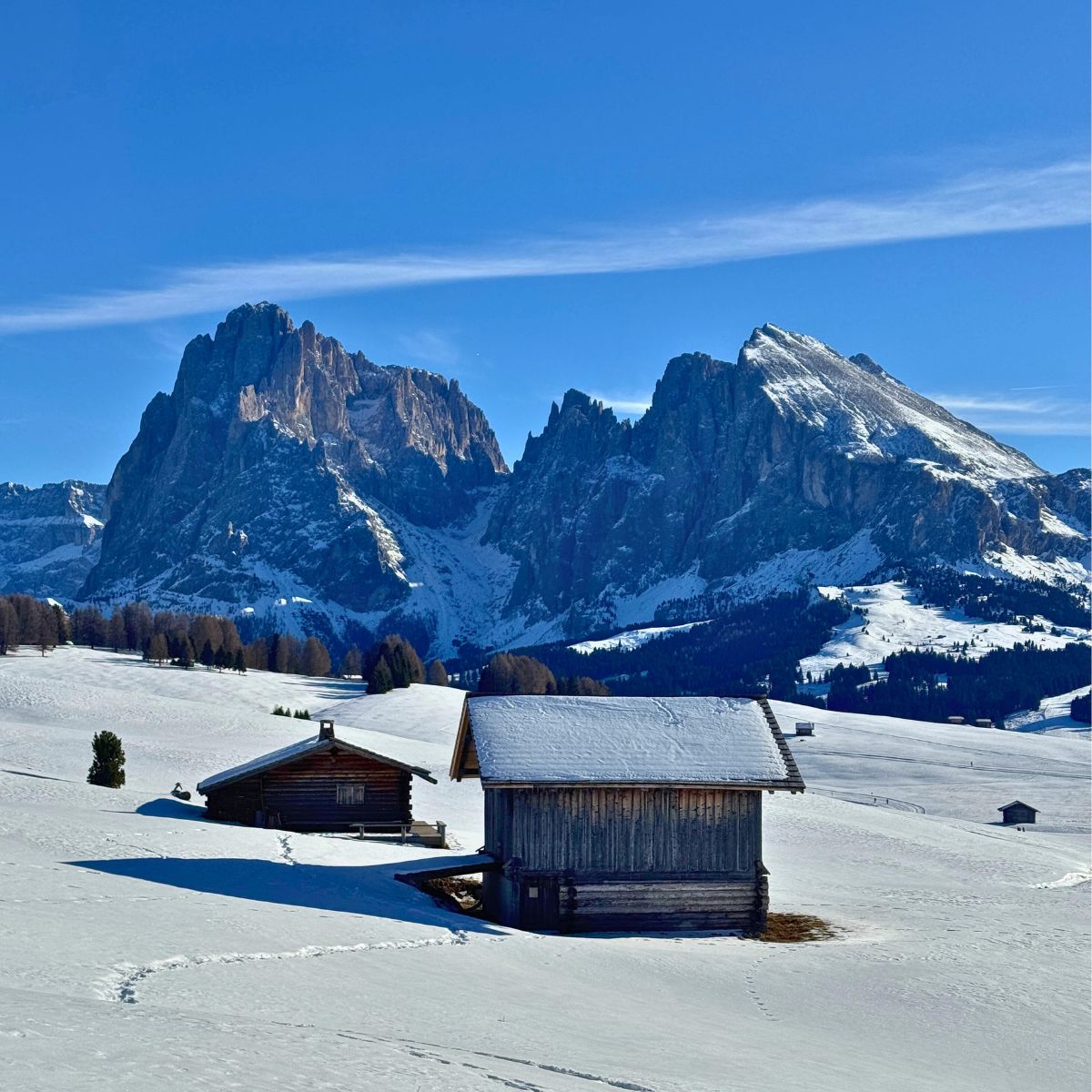 Escursione a Malga Sanon in Alpe di Siusi - Dolomist