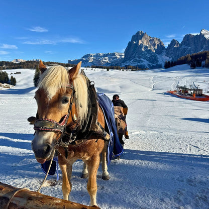Escursione a Malga Sanon in Alpe di Siusi - Dolomist