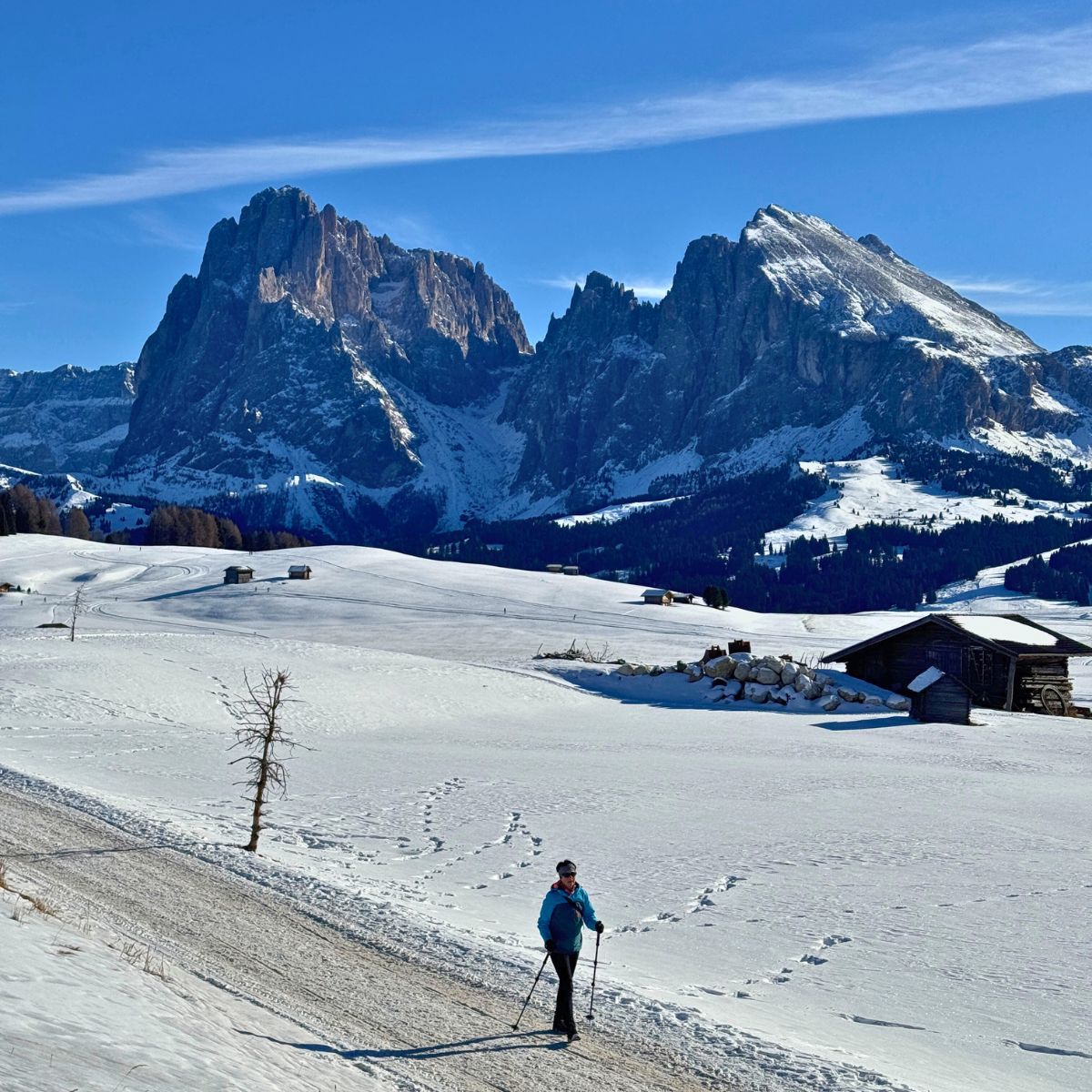 Escursione a Malga Sanon in Alpe di Siusi - Dolomist