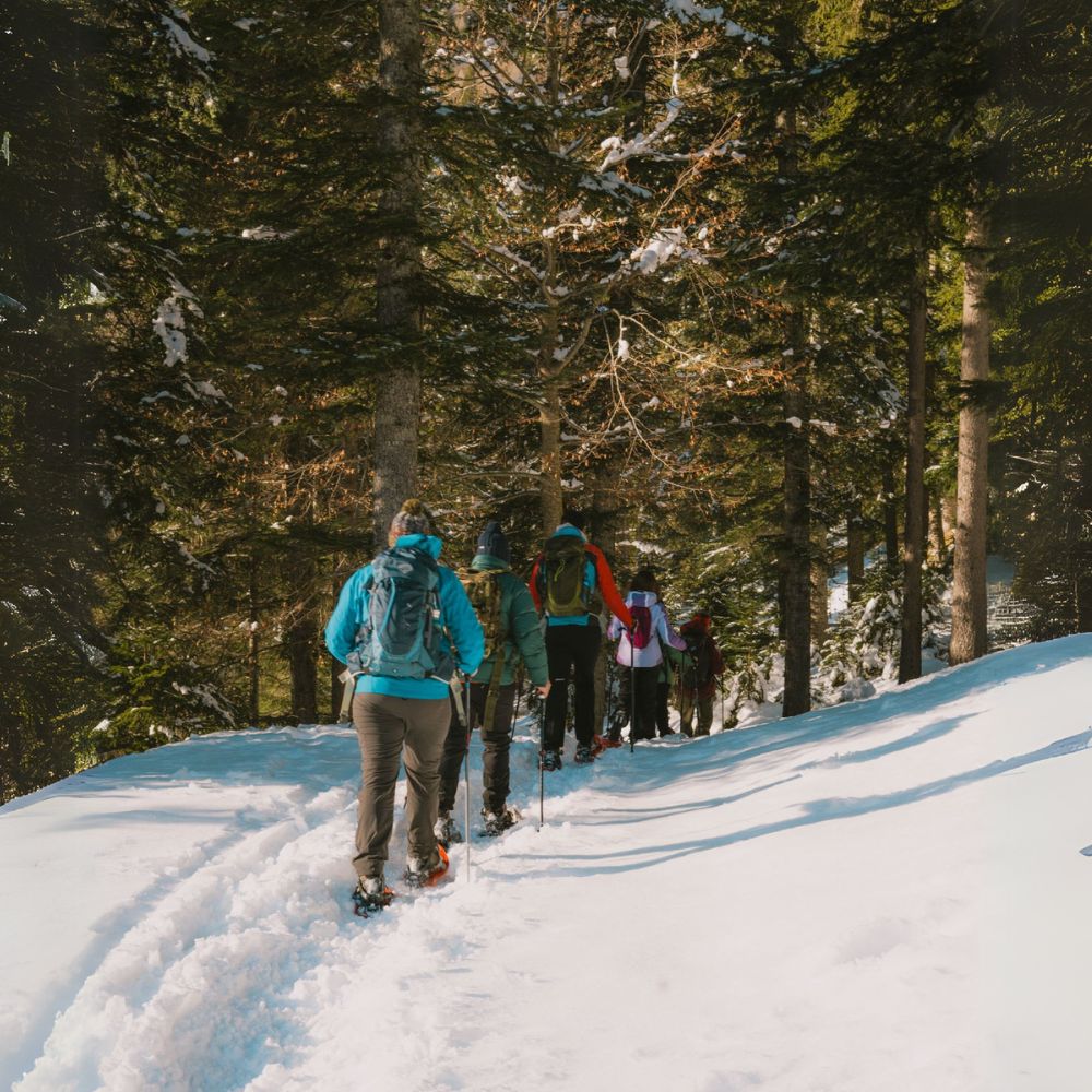 2 giorni con le Ciaspole al Rifugio Scarpa: Natura e Relax 🏠⛄️🍝