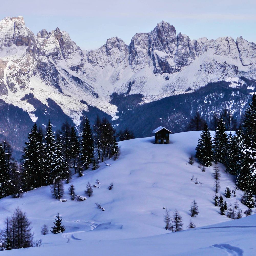 2 giorni con le Ciaspole al Rifugio Scarpa: Natura e Relax 🏠⛄️🍝