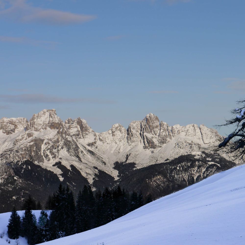 2 giorni con le Ciaspole al Rifugio Scarpa: Natura e Relax 🏠⛄️🍝