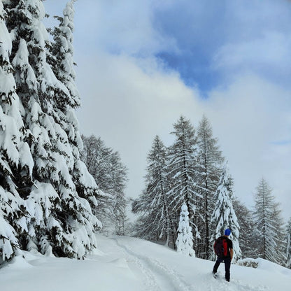 2 giorni con le Ciaspole al Rifugio Scarpa: Natura e Relax 🏠⛄️🍝