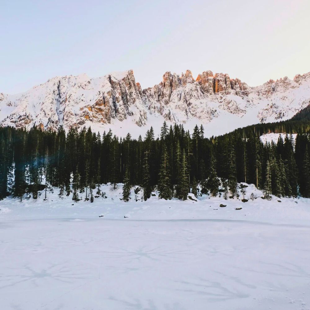 Forest bathing e pranzo tipico al Lago di Carezza 🏔️🌱🍝