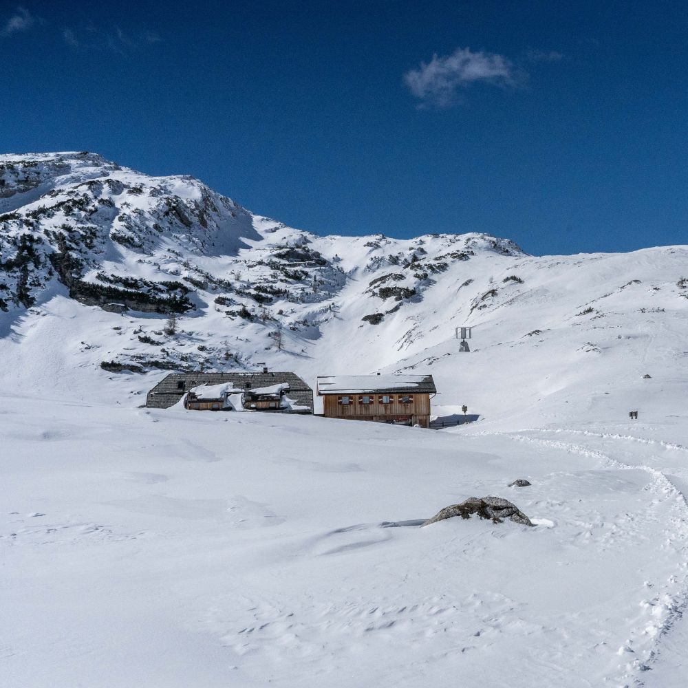 Weekend con le ciaspole al Rifugio Sennes: Natura e relax ❄️🏠🍝