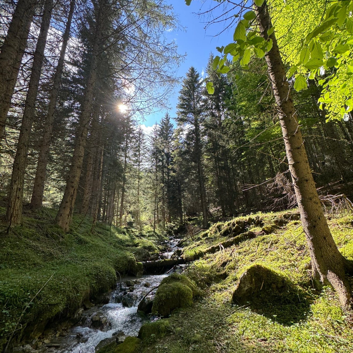 2 days of adventure at Rifugio Giaf: trekking, bonfire and starry night 🥾🌲🔥✨