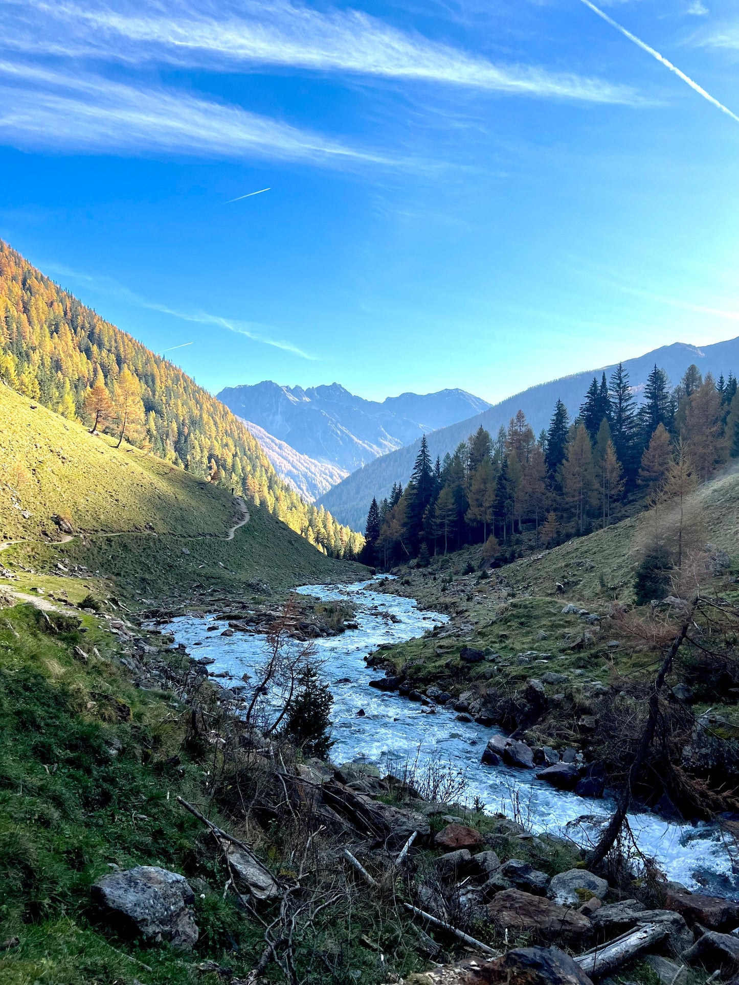 Foliage e Forest Bathing nelle Dolomiti: Immergiti nella Natura ⛰️🎒🌱