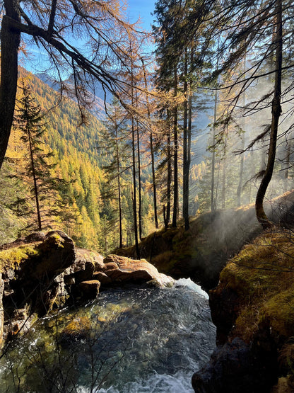 Foliage e Forest Bathing nelle Dolomiti: Immergiti nella Natura ⛰️🎒🌱