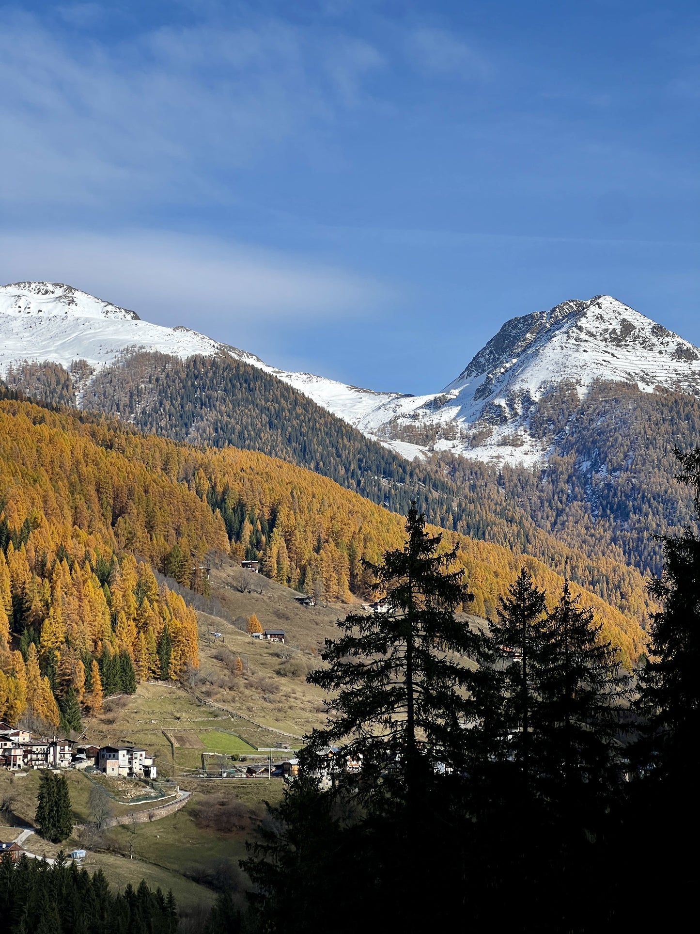 Foliage e Forest Bathing nelle Dolomiti: Immergiti nella Natura ⛰️🎒🌱