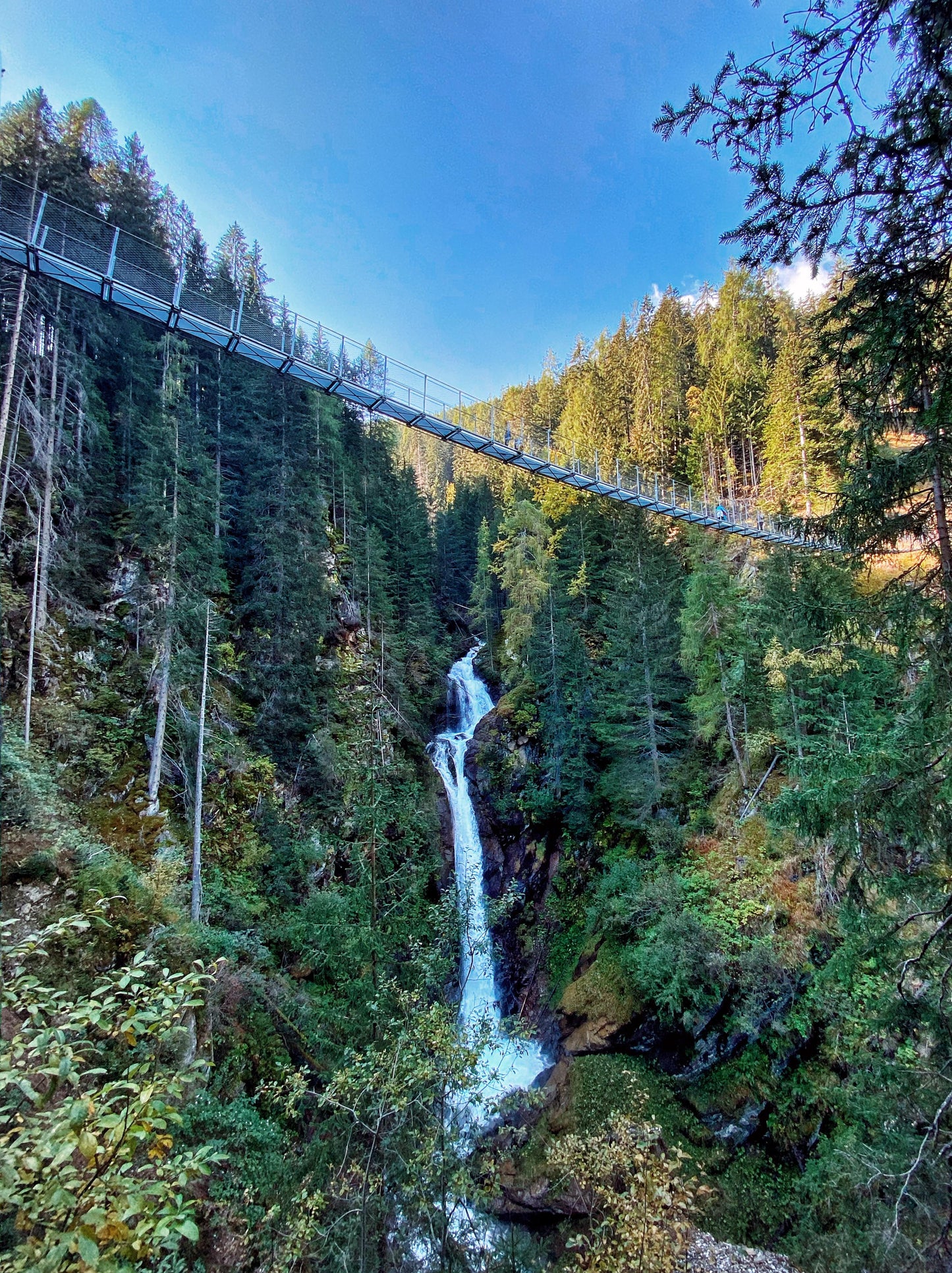 Foliage e Forest Bathing nelle Dolomiti: Immergiti nella Natura ⛰️🎒🌱