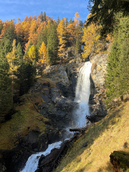 Foliage e Forest Bathing nelle Dolomiti: Immergiti nella Natura ⛰️🎒🌱