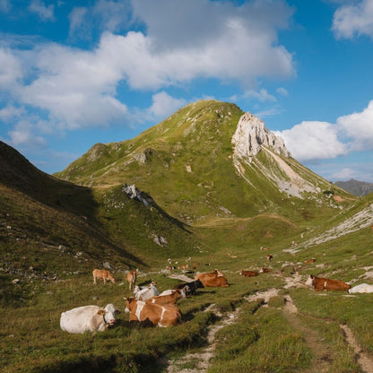 MADE Trek | Trekking 6–10 Giorni sulle Alpi Carniche - Dolomist