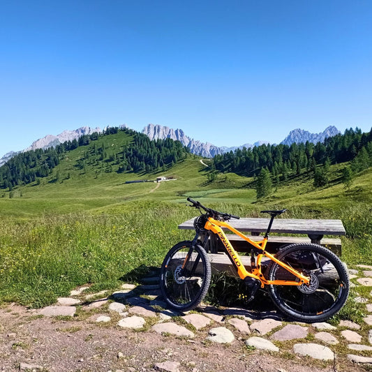 Bike trek tra le Alpi Carniche: tra Avventura e Natura - Dolomist