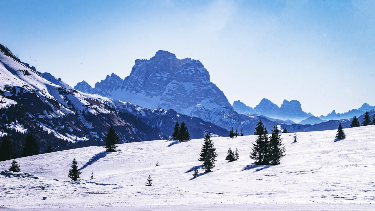 Paesaggio invernale sopra Corvara in Alta Badia con abeti innevati e cime dolomitiche