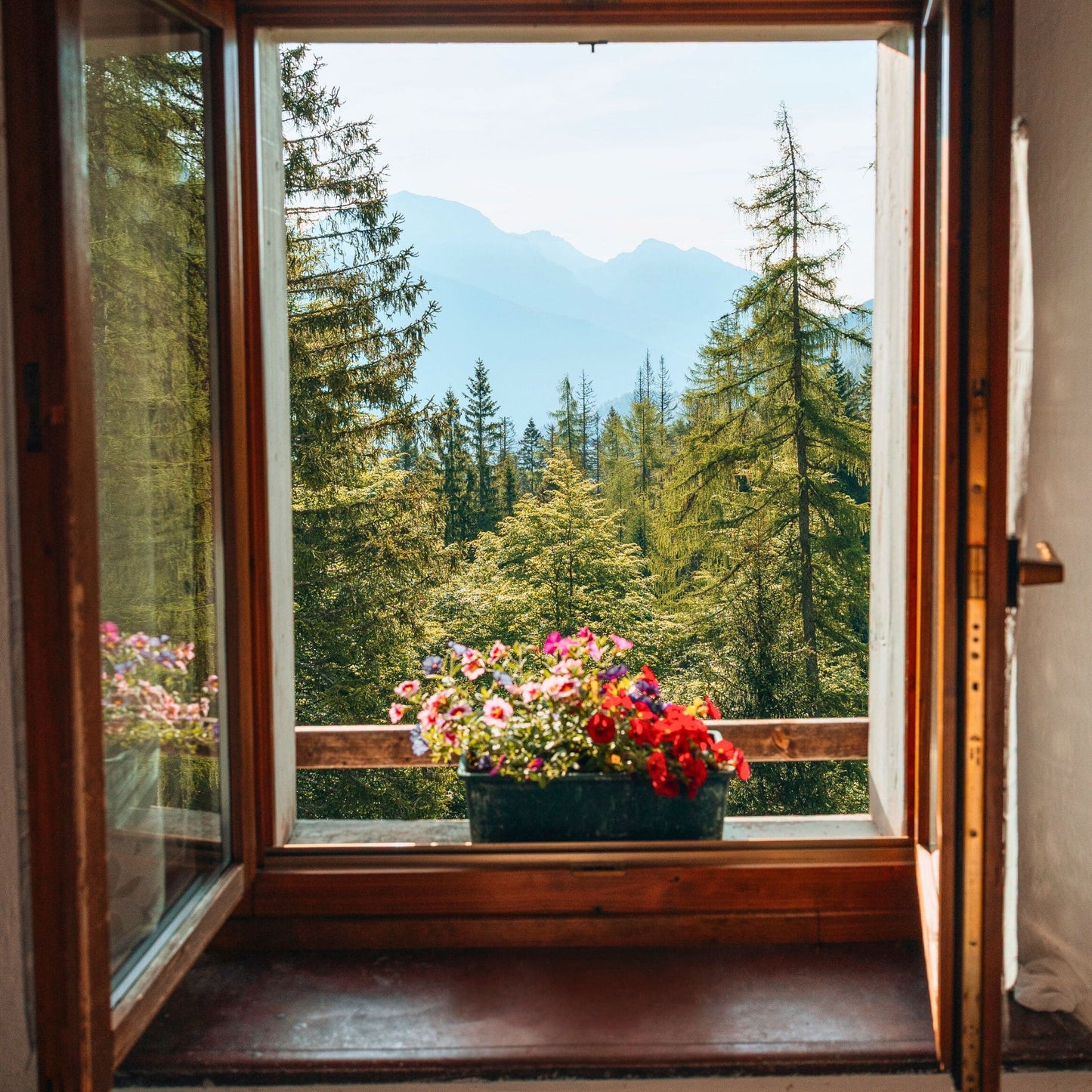 Flower box on rifugio window overlooking forest and mountain peaks in Dolomiti Friulane UNESCO site
