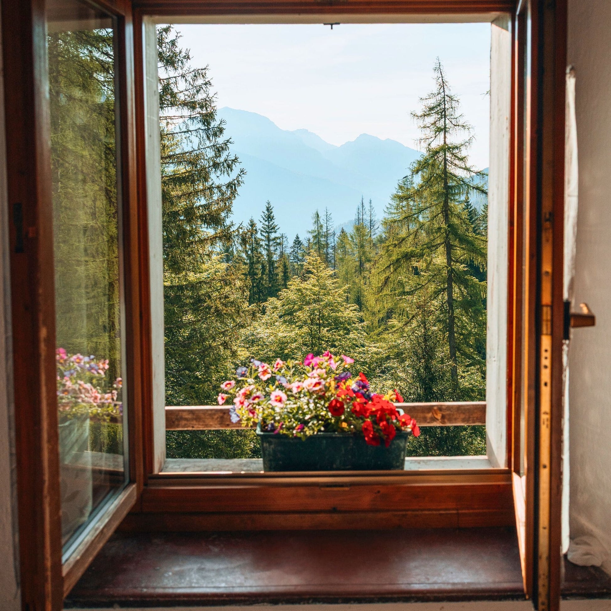 Flower box on rifugio window overlooking forest and mountain peaks in Dolomiti Friulane UNESCO site