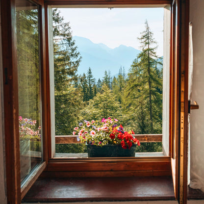 Flower box on rifugio window overlooking forest and mountain peaks in Dolomiti Friulane UNESCO site