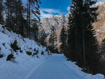 Ski mountaineering or snowshoeing to the Pradut Refuge 🚶🏼‍♀️⛷